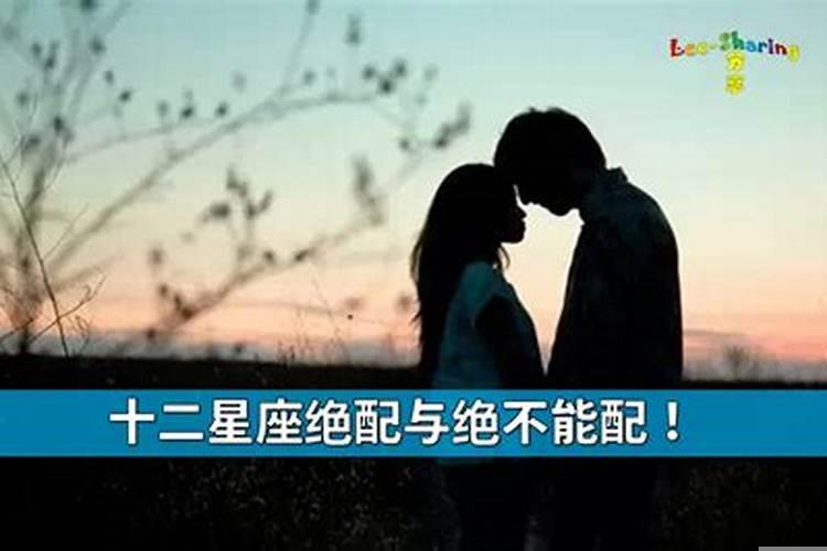 12星座的绝配和绝不能配