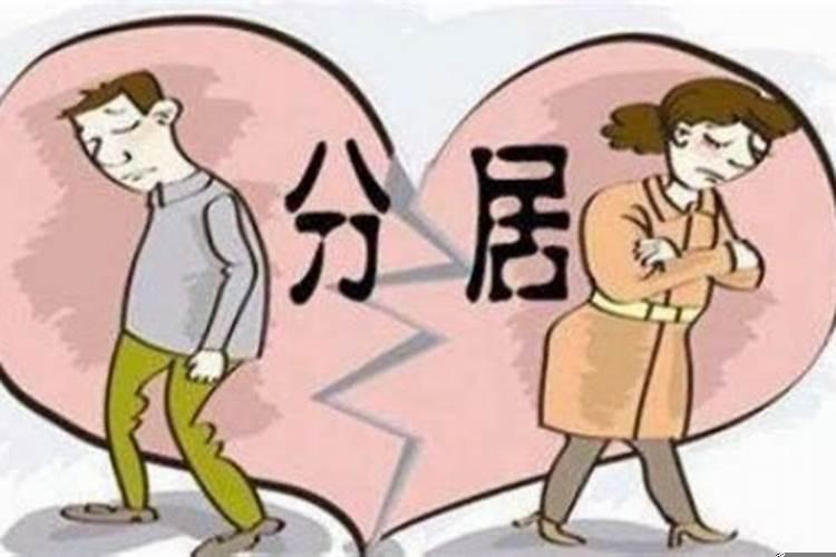 妻子和丈夫假离婚