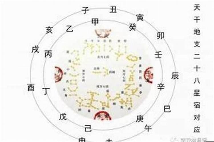 官杀星被流年合