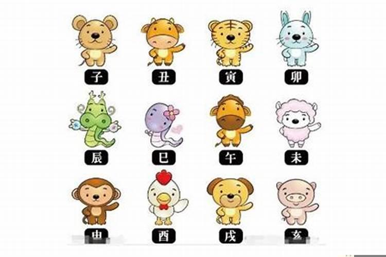 十二生肖老实排榜