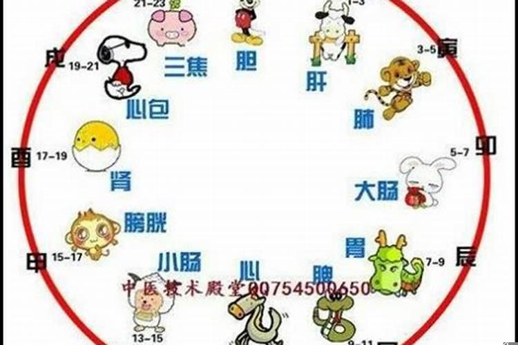 十二生肖出生在哪些月份命最好?