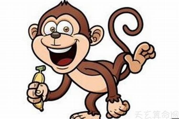 生肖猴和什么生肖虎