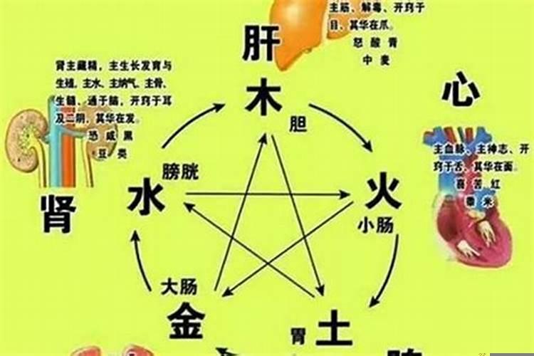 男水女水夫妻属几等