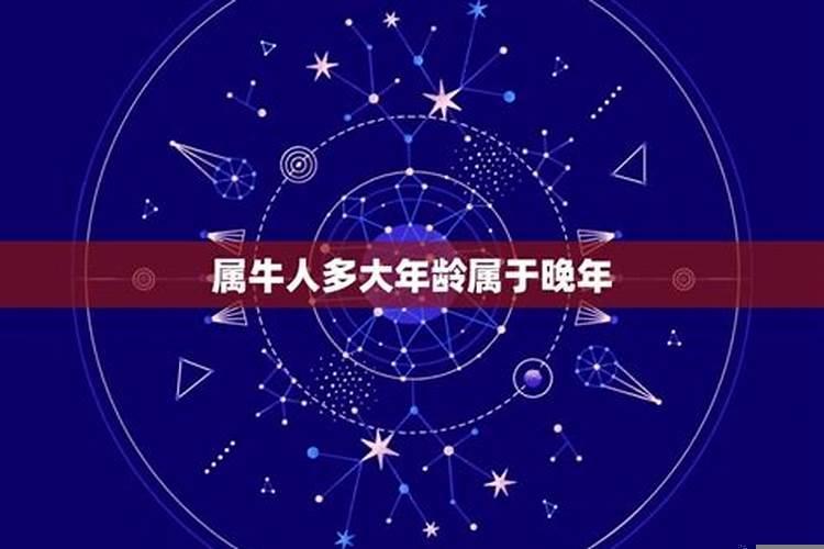 49年是牛年吗