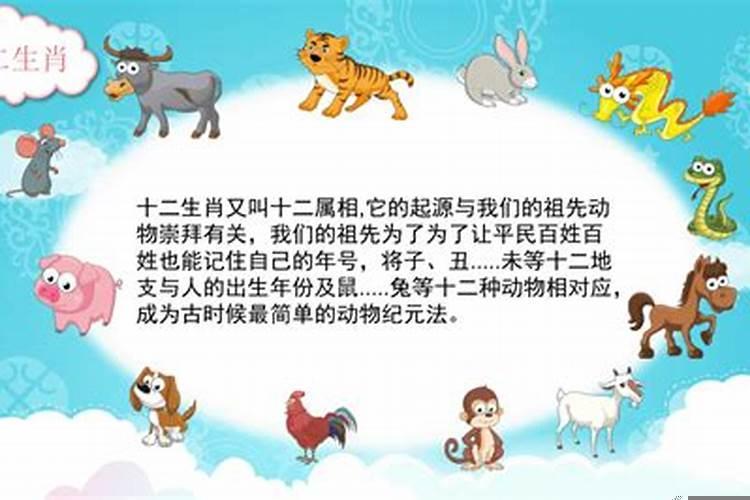 属相就是生肖吗