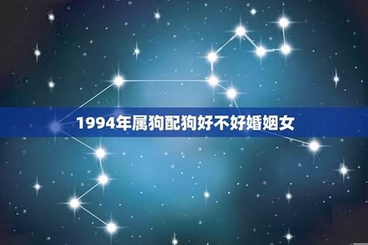 1994年属狗的跟属狗的婚配