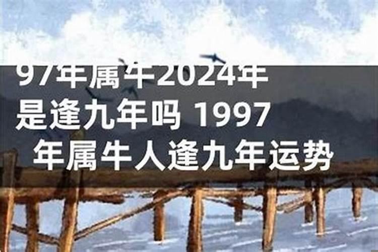 今年是逢九年吗