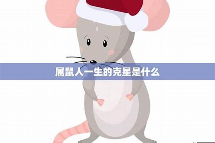 属鼠一生最大克星