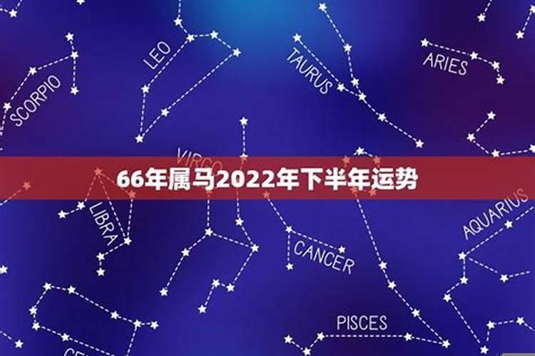 男属马2022年下半年运势如何