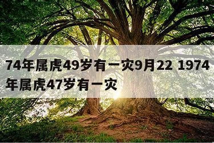 对付长舌妇小人的绝招