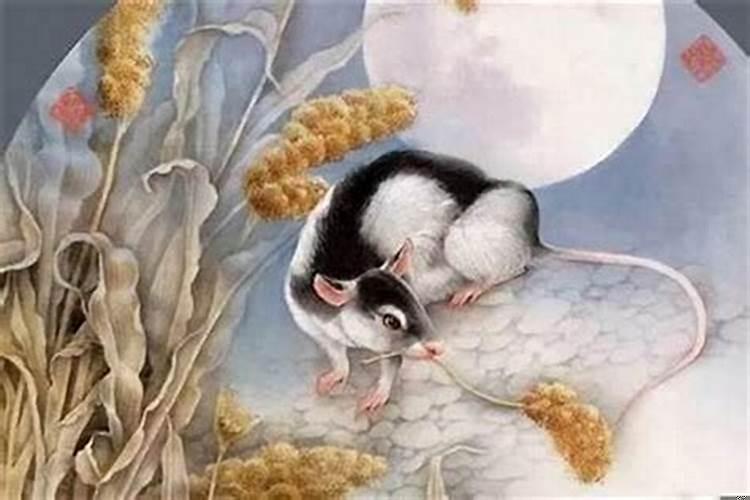 属鼠生属鼠的孩子好吗