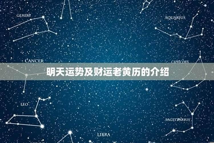 明天运势及财运