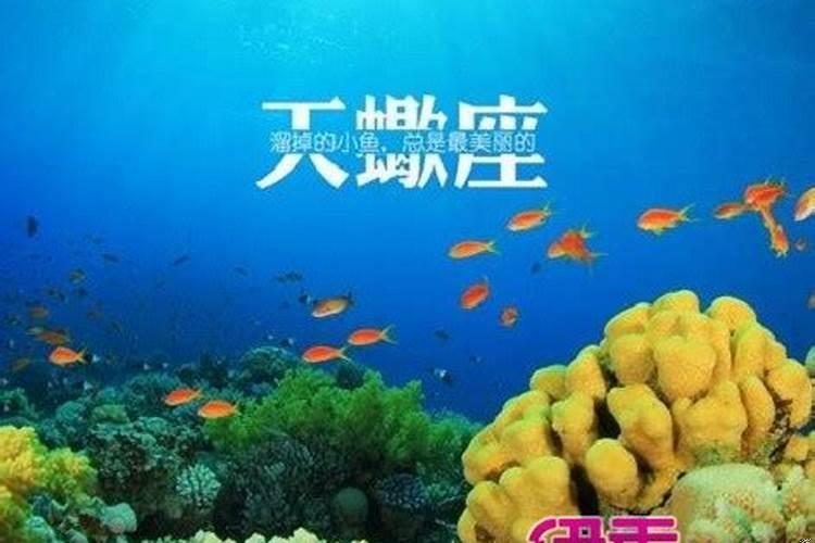 属兔天蝎座女生的性格