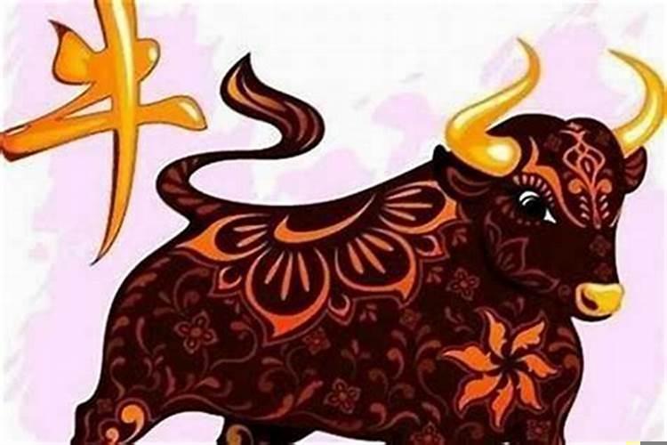 属狗女与属牛男的婚姻合吗