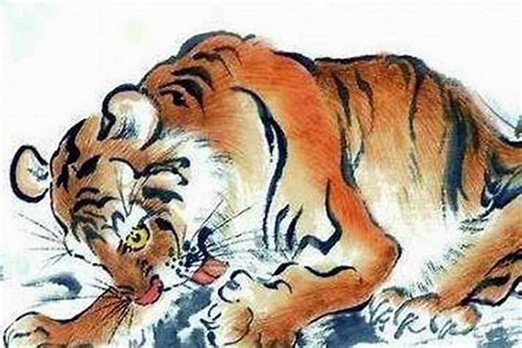 生肖属蛇和属虎能婚配吗