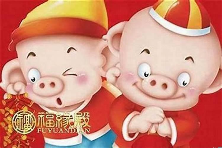 83年12月属猪的命运