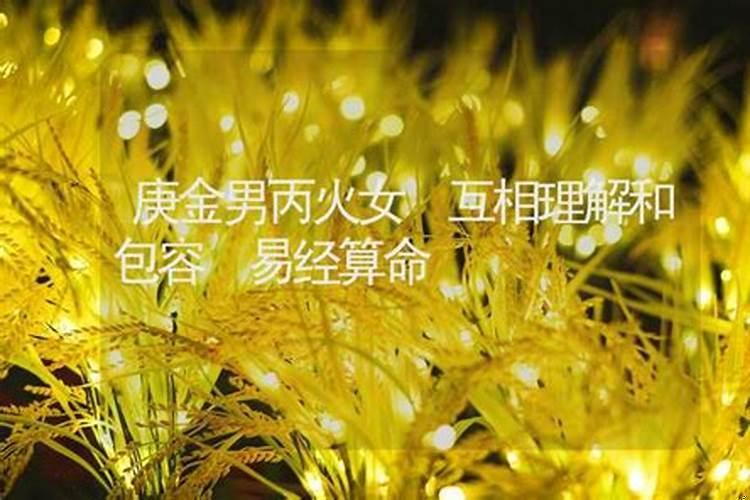 丙火女和甲木男适合吗