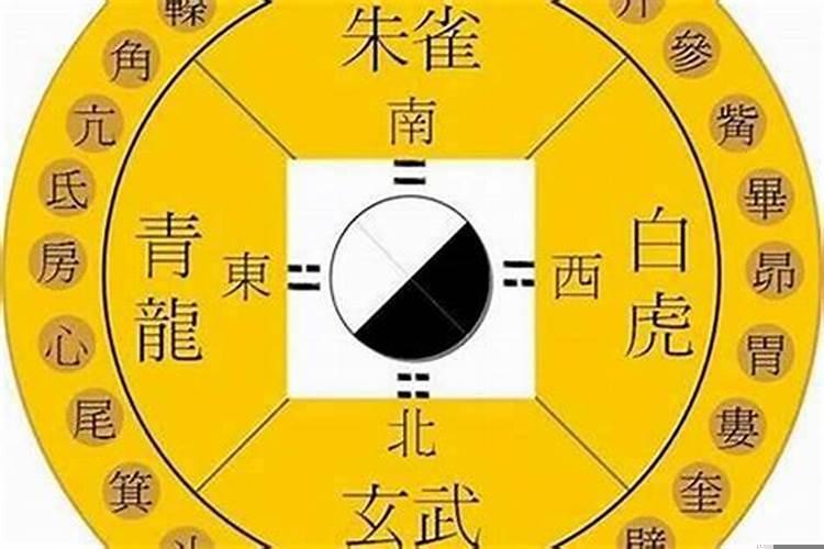青龙位主什么
