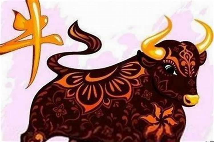 女属猪最配的属相是什么