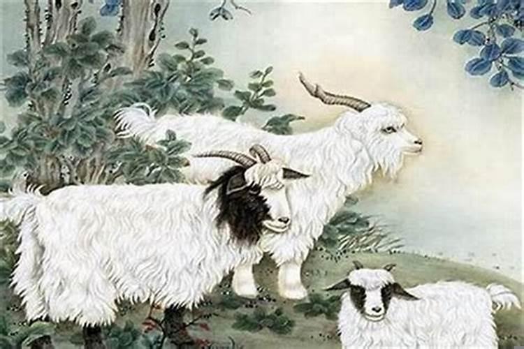 属羊和属鸡相配吗婚姻