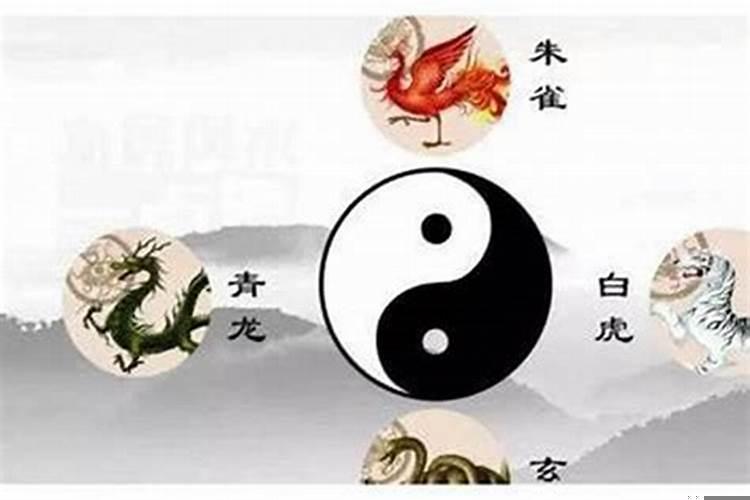 什么叫左青龙右白虎风水