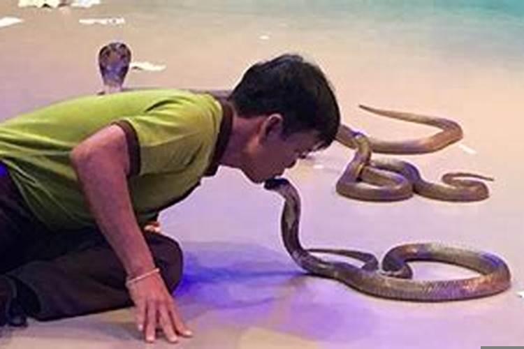 男人梦到好多蛇好不好