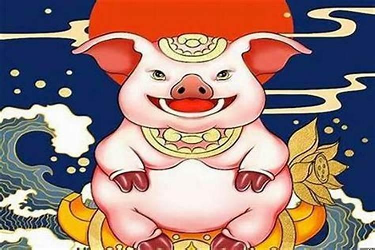 属猪女孩几月出生最好命