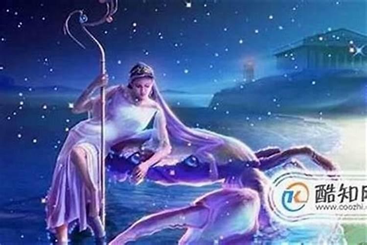 如何去追巨蟹女生