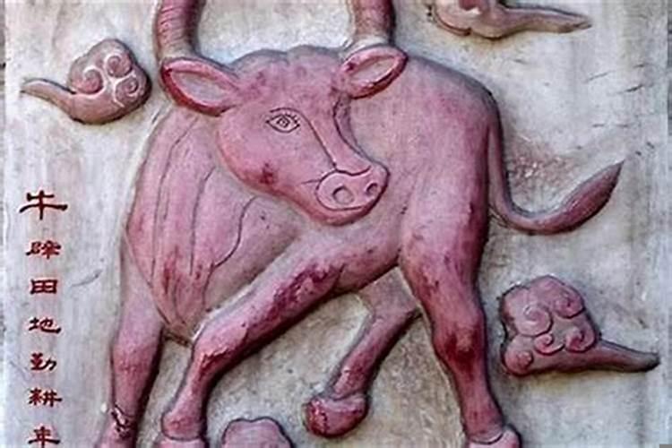 属牛女戴什么饰品转运最好