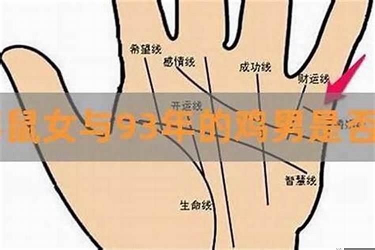 92年金猴和94年火狗