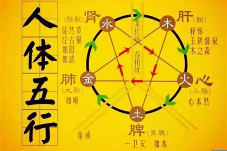 如何知道自己的五行缺什么