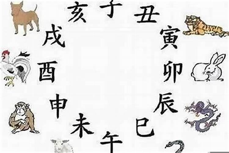 属相中的四害指什么