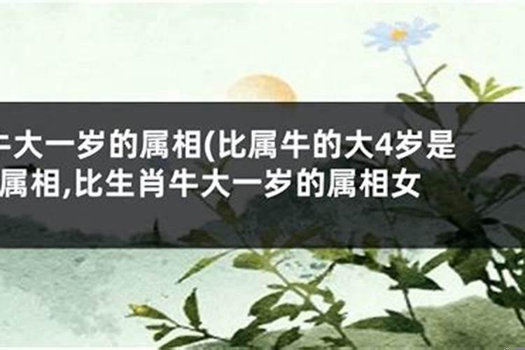 71生肖猪感情婚姻