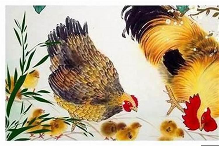 属鸡的哪年出生的