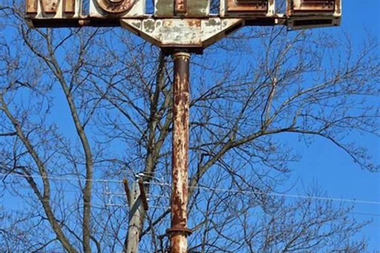 昨天晚上我梦到蛇