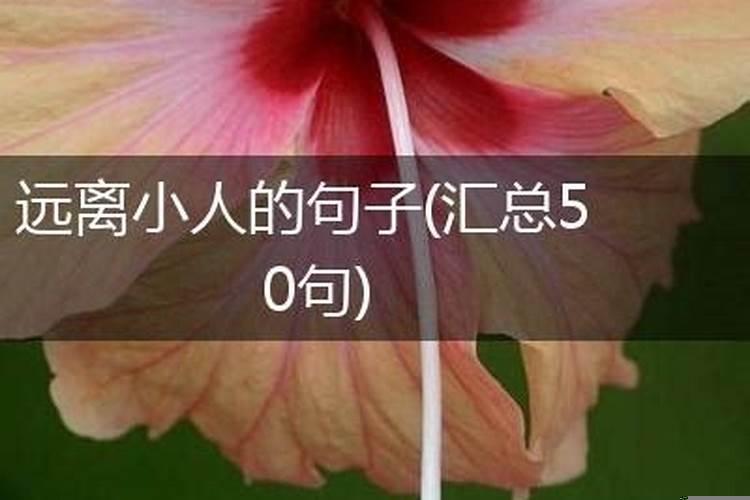 为啥越没本事的人脾气越大呢