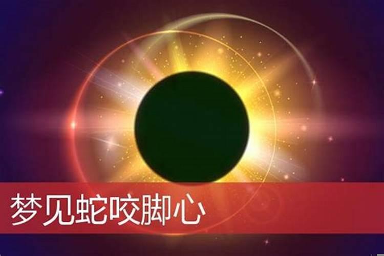 昨天晚上我梦到蛇