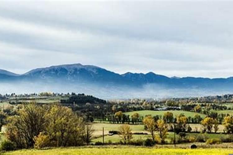 乙木生于寅月用神