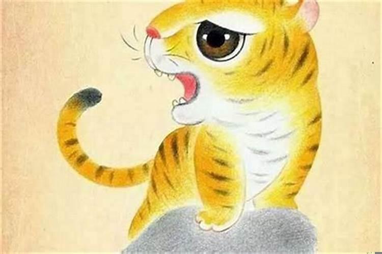 属虎男的和属狗女适合过一辈子吗好吗