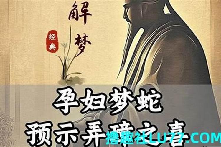 梦见蛇是怀孕的症状吗