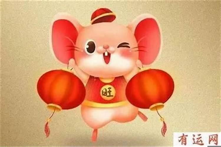 鼠会遇到的贵人