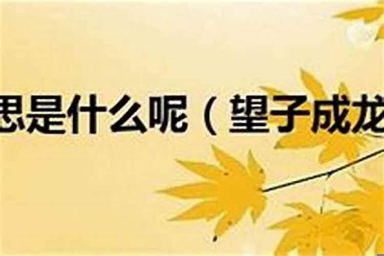 时来运到猜一生肖