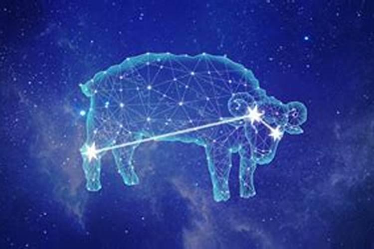 白羊降不住的星座