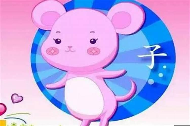 属鼠的男和属狗的女可不可以