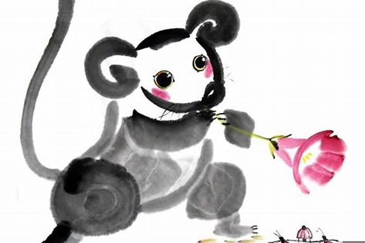 鼠会遇到的贵人