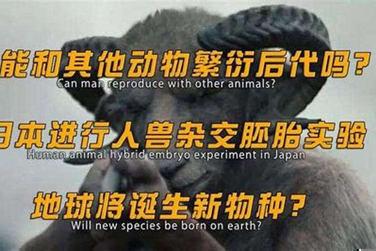 人和牛会生出什么