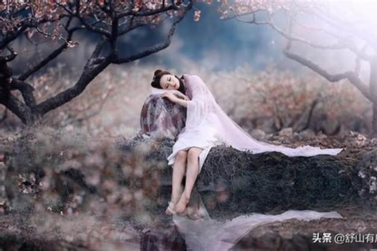 孕妇梦见买菜买肉