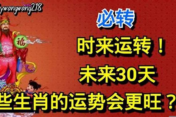 时来运到猜一生肖