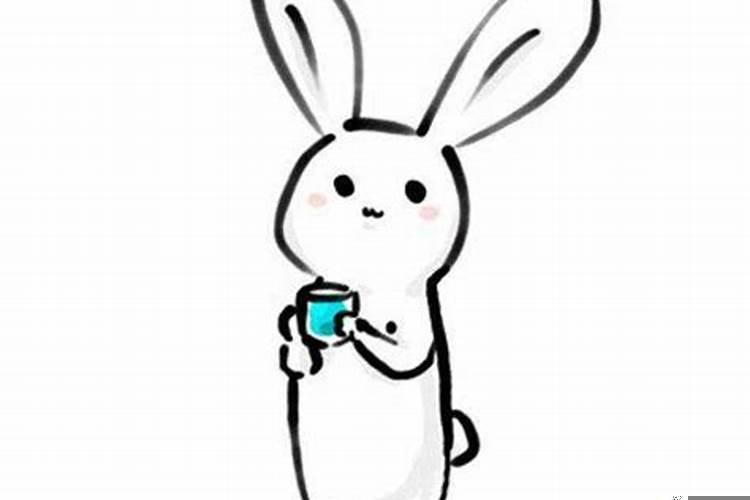 属兔的和属马的相配吗女