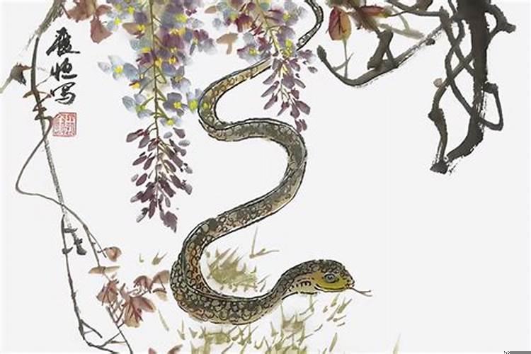 狗边蛇边是什么生肖